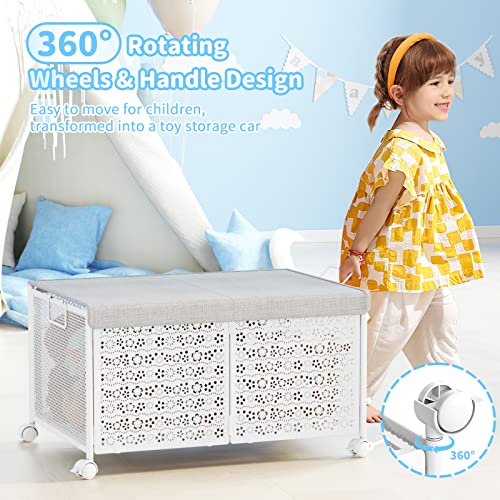 PHINOX Toy Box Storage, Toy Chest Toy Organizers and Storage Bins