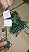 National Tree Company Artificial Pre-Lit Slim Christmas Tree, Green, Kingswood Fir, White Lights, Includes Stand, 7.5 Feet