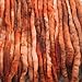 Wool Roving Hand Dyed. Super Soft BFL Combed Top Pre-Drafted for Easy Hand Spinning. Artisanal Craft Fiber ideal for Felting, Weaving, Wall Hangings and Embellishments. 1 Ounce. Brown Rust
