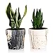 Greenaholics Marble Plant Pots - 5 Inch Cylinder Ceramic Planters for Succulent or Small Snake Plant, with Drainage Hole - Set of 2, Black and White