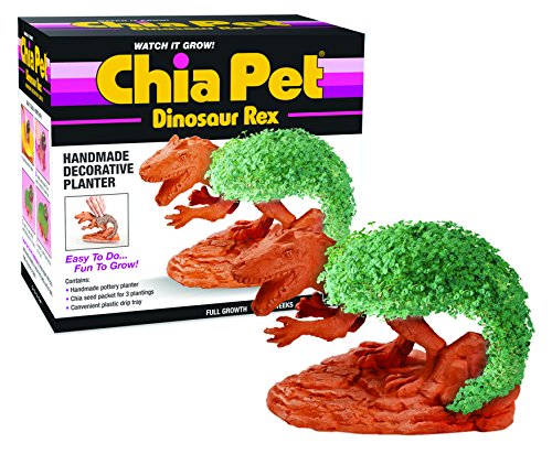 Dinosaur Rex Chia Pet