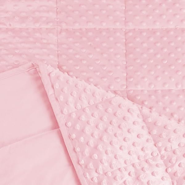 ALANSMA REVERSIBLE WEIGHTED BLANKET FOR ALL SEASON, LUXURY VELVET, WARM AND COOL, ADULT 15LB WEIGHTED BLANKET, ENJOY SLEEPING ANYWHERE(PINK, 48”X72”15LBS)