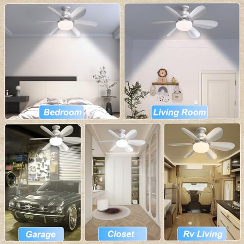 DBFAIRY 52cm Ceiling Fans with Lights, E27 Base Screw in Small Ceiling Fans Lights with Remote Timer 3 Colors Dimmable, 3 Speeds, 3000K-6500K LED Light for Bedroom Kitchen Office Dormitory