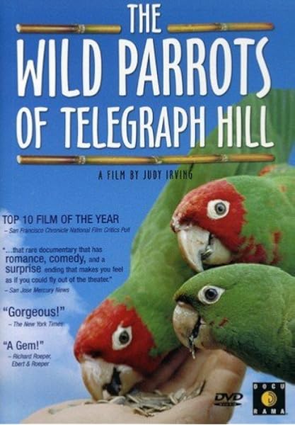 hill parrot food