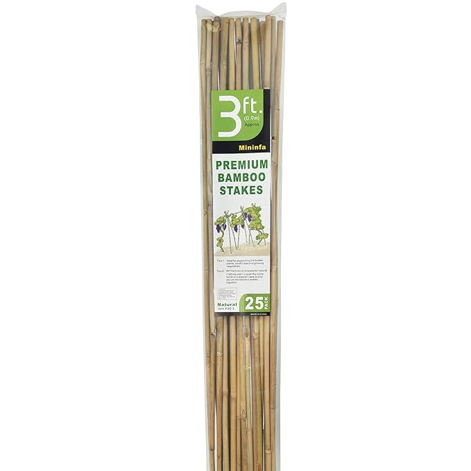 Mininfa Estacas de bambú Natural, estacas de jardín ecológicas ...