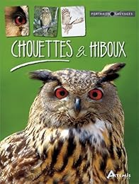 Chouettes & hiboux