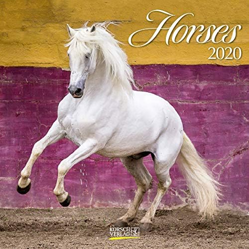 Download Horses 2020: Broschürenkalender mit Ferienterminen. Pferde und Ponys PDF
