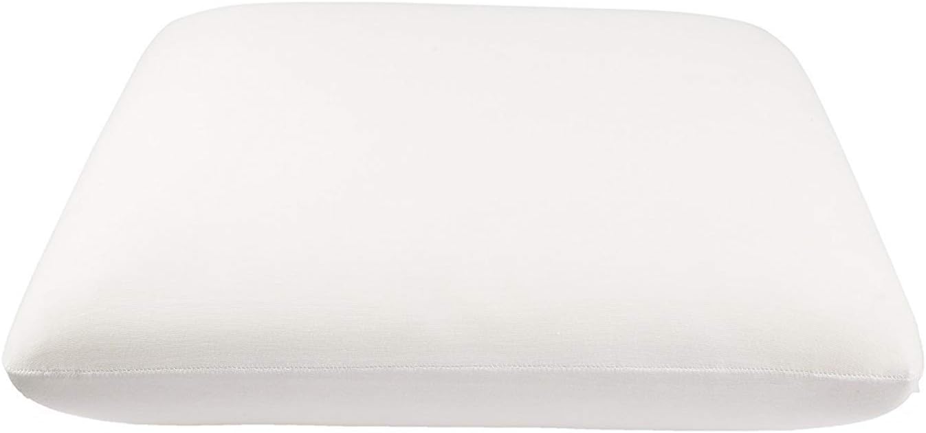 The White Willow Set of 1 Memory Foam Square Cushion Insert Pillow Filler 20 Inch X 20 Inch for Sofa, Chair, Car & Back Support White