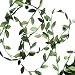 Hecaty 132 ft Olive Green Leaves Leaf Trim Ribbon for Baby Shower DIY Craft Party Wedding Home Decoration (Large Leaf 132ft)