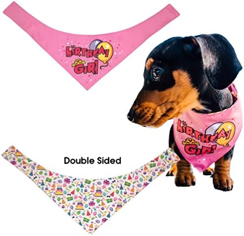 Happy Birthday Girl / Boy Bandana for Pet Dog, Cat, Rabbit, Small Animal