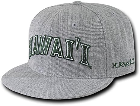 Snapback Baseball Cap Hat Baseball Caps 