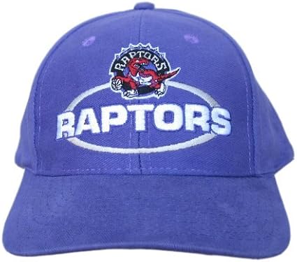 toronto raptors hat amazon