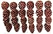 Natural Ponderosa Pine Cones Christmas Ornaments Decorations 3 to 3.5