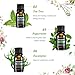 VicTsing Set of 6 Aromatherapy Essential Oil 100% Pure Therapeutic Grade, Scented Oil Basic Sampler Set (Orange, Lavender, Tea Tree, Lemongrass, Eucalyptus, Peppermint, 6 Bottles 10ml/.33fl oz Each)
