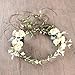 Floral Fall Adjustable Bridal Flower Garland Headband Flower Crown Hair Wreath Halo F-83 (A-Champagne)