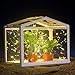 Lighting Mall Outdoor Solar String Lights, Waterproof 100 LEDs 33 Feet 8 Modes Solar Christmas Lights for Outdoor/Indoor, Garden, Patio, Wedding, Party, Holiday and Christmas Decorations (Warm White)