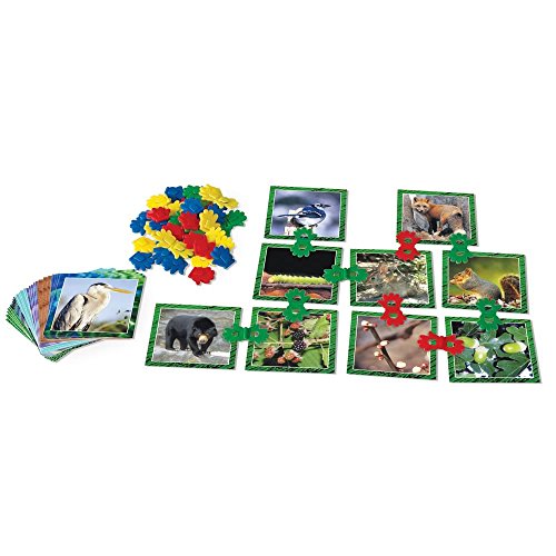 hand2mind Clip-Itz Food Web Chain Card Set