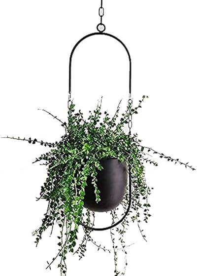 Beihaoer Metal Boho Hanging Planter for Indoor Plants - Black