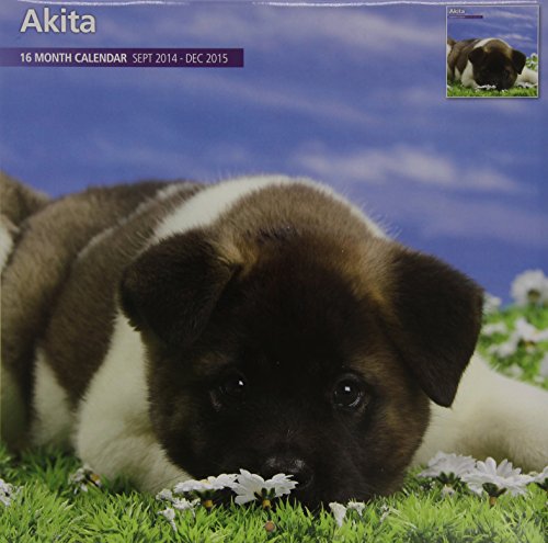 Akita 2015 Wall Calendar