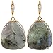 SUNYIK Natural Labradorite Lever-back Dangle Earrings