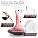 Wine Decanter With Aerator Set - Red Wine Carafe with Built in Wine Aerator, Drying Stand - Crystal Glass Wine Decanter - Fast Decanting Wine Accessories…