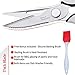 Kitchen Shears Poultry Scissors Set, BEST Cutting Aid with Stainless Steel Heavy Duty Blades and Large Handles FREE Basting Brush Included for Glazing and Food Marinade by Space Evolution