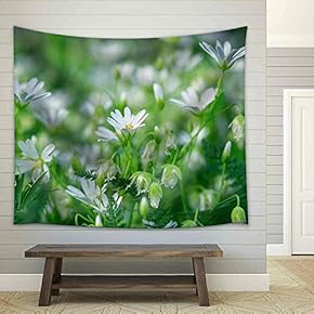 White Flowers in Meadow - Beautiful Nature in Spring - Fabric Wall Tapestry Home Decor - 51x60 inches