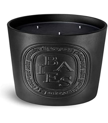 Amazon.com: Diptyque Baies Indoor/Outdoor Ceramic Candle-51.3 oz