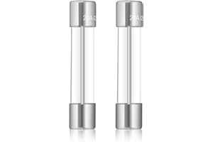 QZANYEE LIFE 2 Pcs 5304509451 Microwave Fuses 20a 125v for Frigidaire Microwaves,Applicable for GE WB27X11138 WB27X10388 PS5136235 00469295 30469294 50462164 PS5136235 AP5648907 Microwaves Oven Fuse 6x30mm