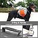 Pawaboo Dog Backpack, Pet Adjustable Saddle Bag Harness Carrier, for Traveling Hiking Camping, Medium Size, Orange & Gray