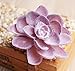 Dutch Brook 5 Pcs Purple Simulation Succulents Artificial Cactus Plants for Home Office Garden Decor (Sent Randomly)