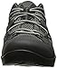 Lowa Men's Phoenix Mesh Lo Hiking Shoe