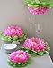 Butterfly Craze Girls Party Decorations - Set of 7 Tissue Paper Flowers … (Pink)