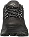 Columbia Men's Newton Ridge Plus Low Waterproof Hiking Shoe