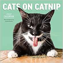 Cats On Catnip Wall Calendar 2022: 9781523512782: Marttila, Andrew, Workman  Calendars: Books - Amazon.com