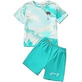 Kid Toddler Baby Boys Clothes Tie-dye Palm Leaf Top 2Pcs Summer Shorts Set
