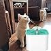 FULNEW Cat Water Fountain Pet Water Dispenser 2L Automatic Electric Water Bowl Flower Drinking Fountain for Cats