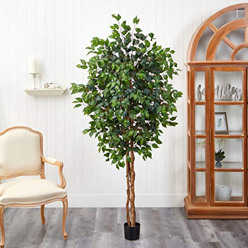 Nearly Natural 6ft. Ficus Artificial Trees, 72in, Green on Galleon