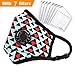 ANALAN Mask Anti Pollution Mask Washable Dust Mask Air Filter Mask for Pollution Smoke Allergy Mask with Filter 4 Pcs PM2.5 (Unisex Size,Pink)