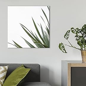 Square Green Long Thin Leaves Against White Background