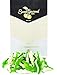 SweetGourmet Gummy Crocodile | 1.5 Pounds