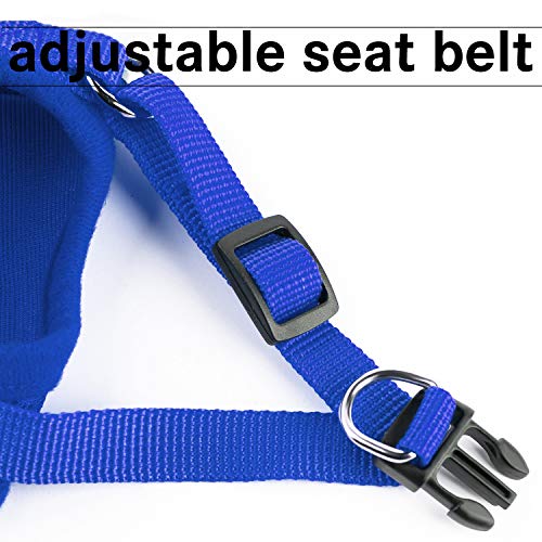 Kamots Beauty Escape Proof Cat Harness and Leash for Walking Adjustable Soft Mesh Pet Vest with Lead for Kitten Puppy Rabbit -(S,Blue)