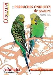 Les  perruches ondulées de posture