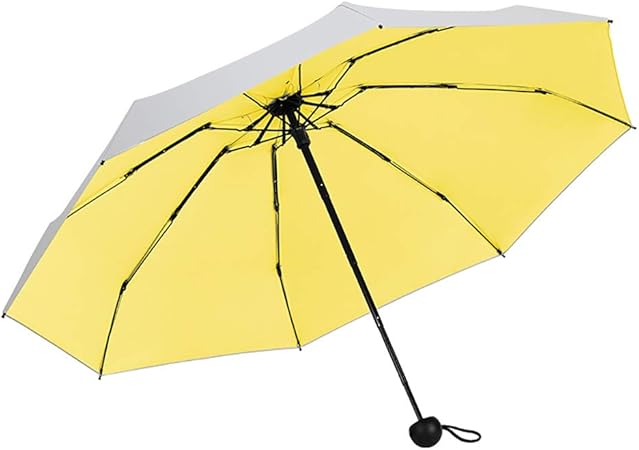 umbrella with case