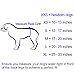 In hand Washable Durable Male Dog Diapers(Pack of 3), Premium Reusable Belly Bands Belly Wrap for Male Dog, Comfy Doggie Diapers