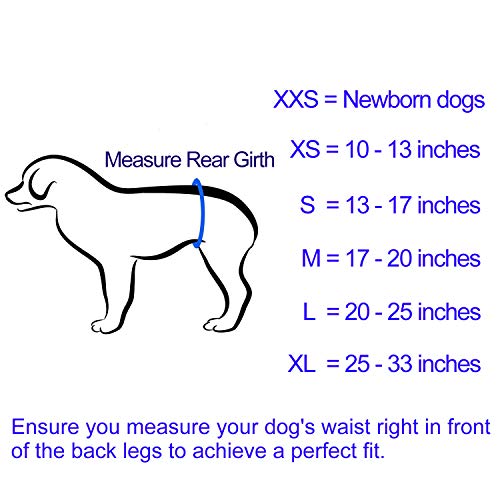 image for IN HAND Washable Male Dog Diapers(Pack of 3), Premium Reusable Belly B
