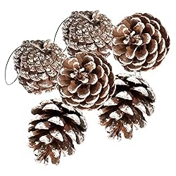 24 PCS Pine Cones for Christmas Tree Snowflake