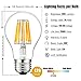 SUNMEG A19 LED Clear Edison Style Filament, Replacement to 100w Incandescent Bulbs, 1000 Lumens, E26 Medium Base Filament Bulb, Warm White (2700K), 120VAC, Non-dimmable (1- Pack)