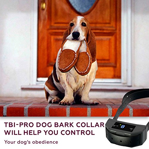 Anti Barking Tbi Bark Collar Instructions New 2018 Version Bark