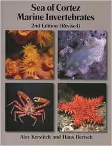 Sea Of Cortez Marine Invertebrates 2nd Edition Revised
